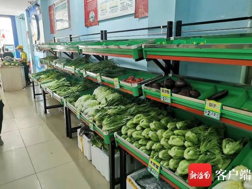 3000噸儲量確保國慶期間海口蔬菜 貨足價穩(wěn)